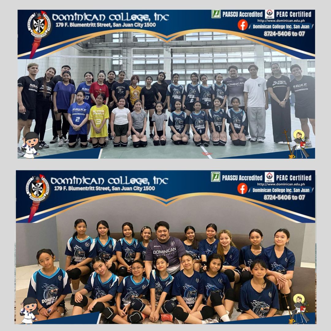 vb vb